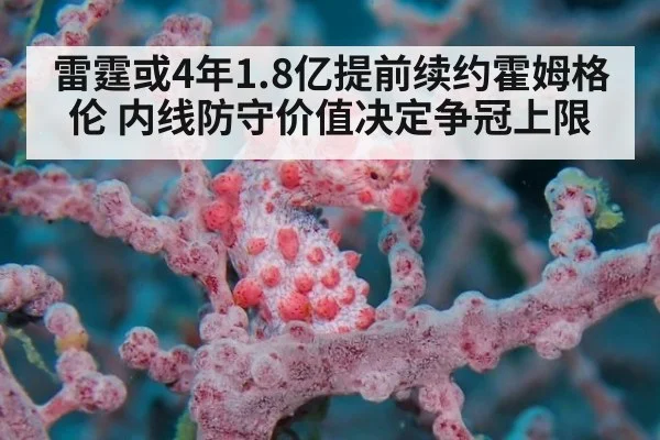 雷霆或4年1.8亿提前续约霍姆格伦 内线防守价值决定争冠上限