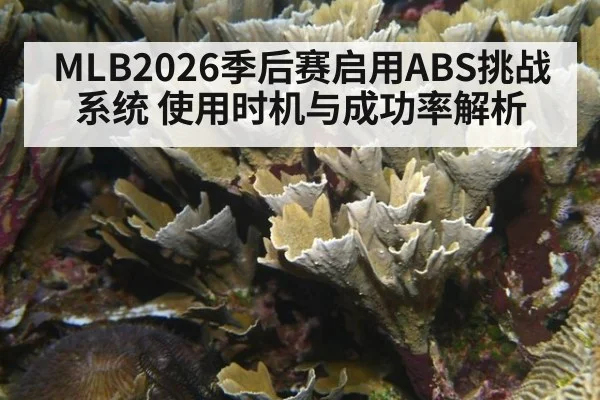 MLB2026季后赛启用ABS挑战系统 使用时机与成功率解析